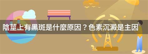 陰莖有黑點|陰莖上有黑斑是何原因？要緊嗎？